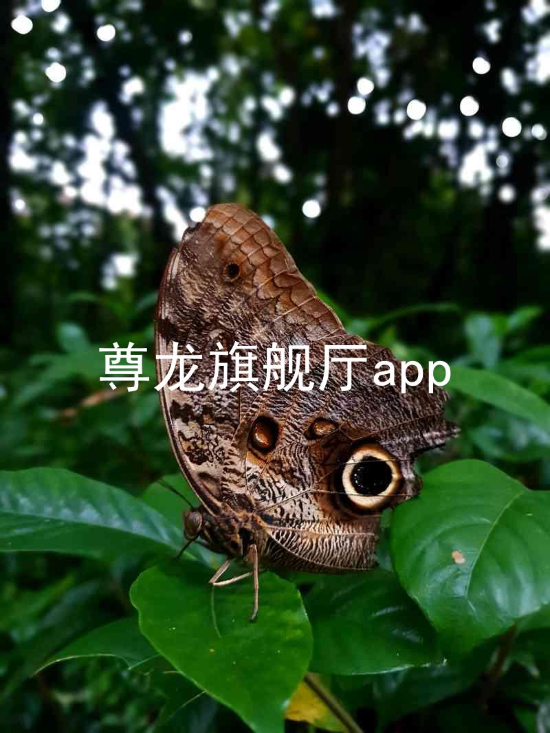 尊龙旗舰厅app